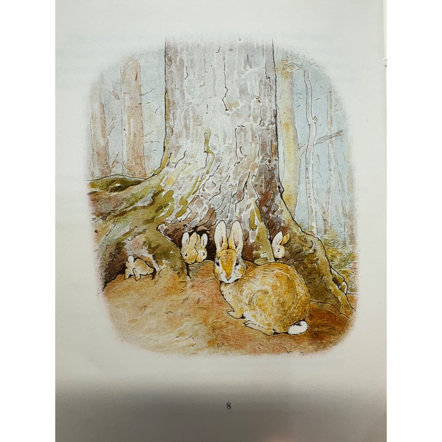 Classic Peter Rabbit Collectible Plush Stuffed Animal Vintage 2001 Edition #9650