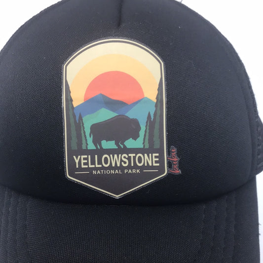 Kid Boy Yellowstone Trucker Style Hat