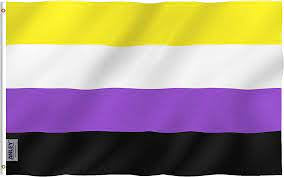 Non Binary Flag #5