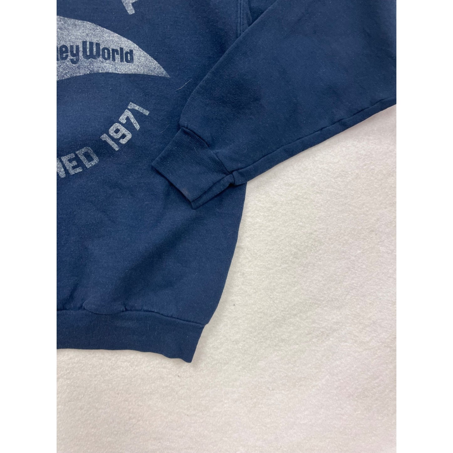 Vintage Disney Parks small Hanes ComfortBlend Sweatshirt #8287