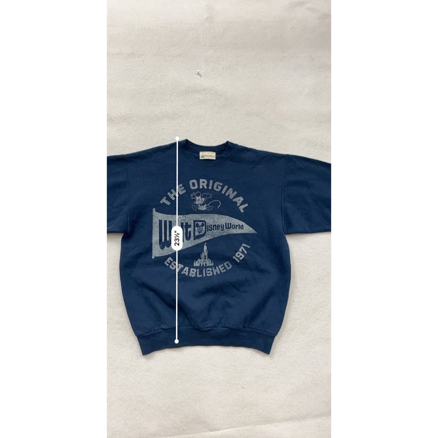 Vintage Disney Parks small Hanes ComfortBlend Sweatshirt #8287