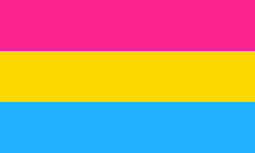 Pansexual Flag #9