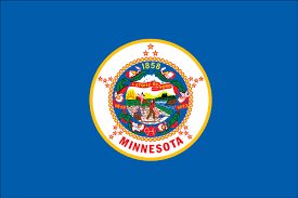 Minnesota State Flag #33