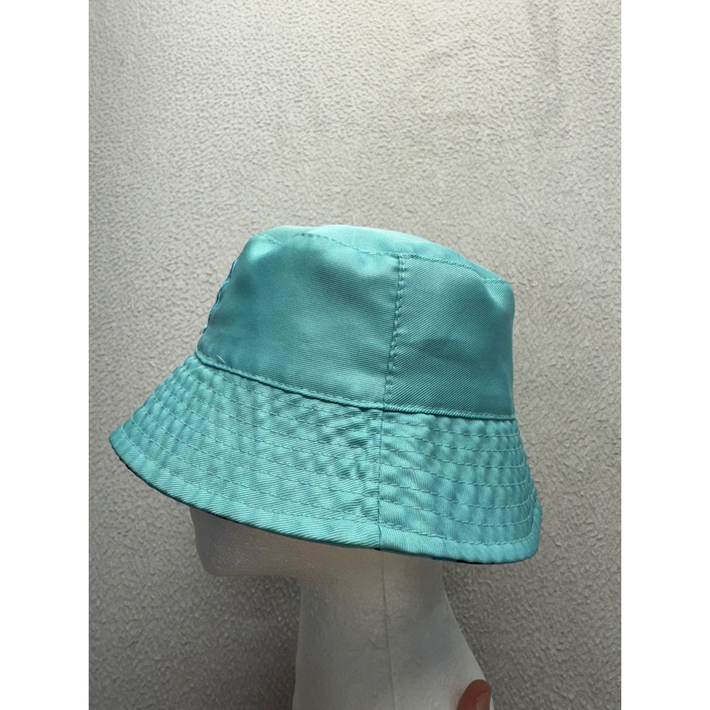 Sesame Street Amazing Reversible Kids Bucket Hat Aqua & Character Cotton #9857