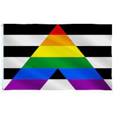 Gay Straight Alliance Flag #3