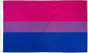 Bisexual Flag #7