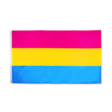 Pansexual Flag #9