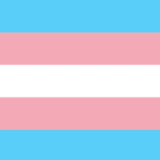 Transgender Flag #4