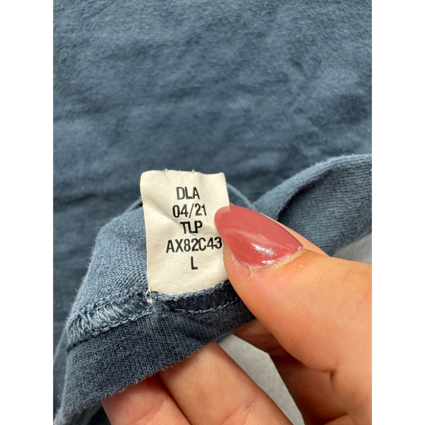 Vans Graphic Tee Size L Blue With Pigeon Print #9043