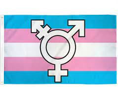 Transgender (symbol) Flag #42
