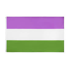 Genderqueer Flag #12