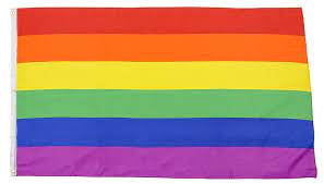 Rainbow Pride Flag #1