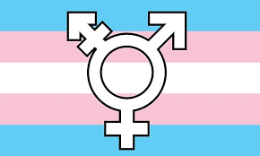 Transgender (symbol) Flag #42