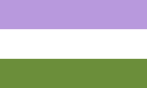 Genderqueer Flag #12