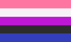 Genderfluid Flag #13