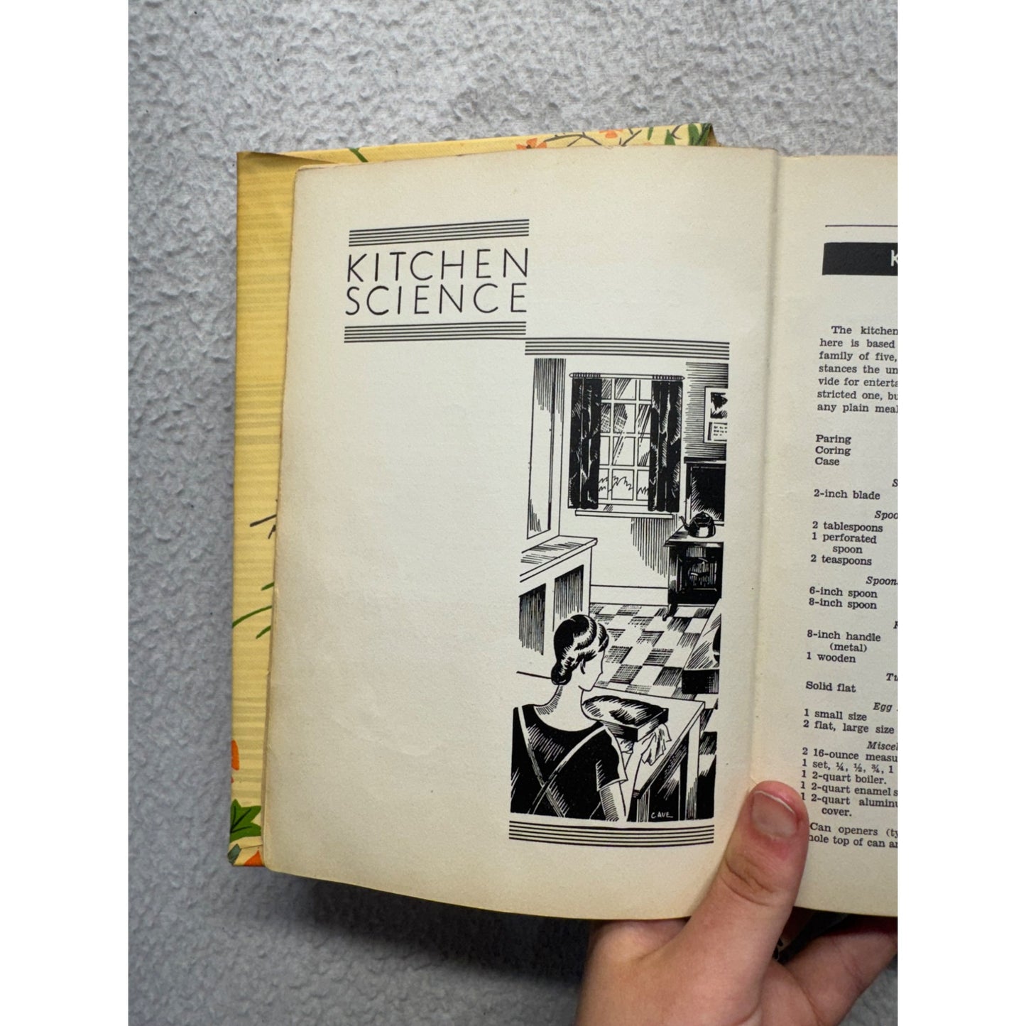 Vintage Chicago Daily News Cookbook Culinary Guide Retro Kitchen Reference #9653