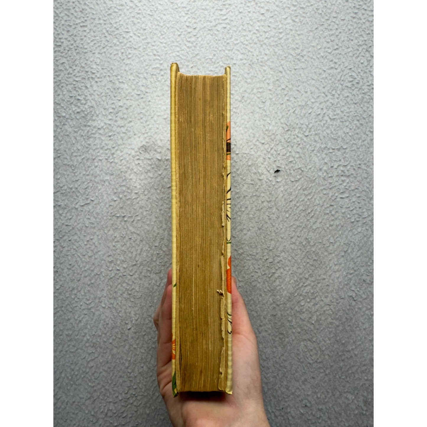 Vintage Chicago Daily News Cookbook Culinary Guide Retro Kitchen Reference #9653