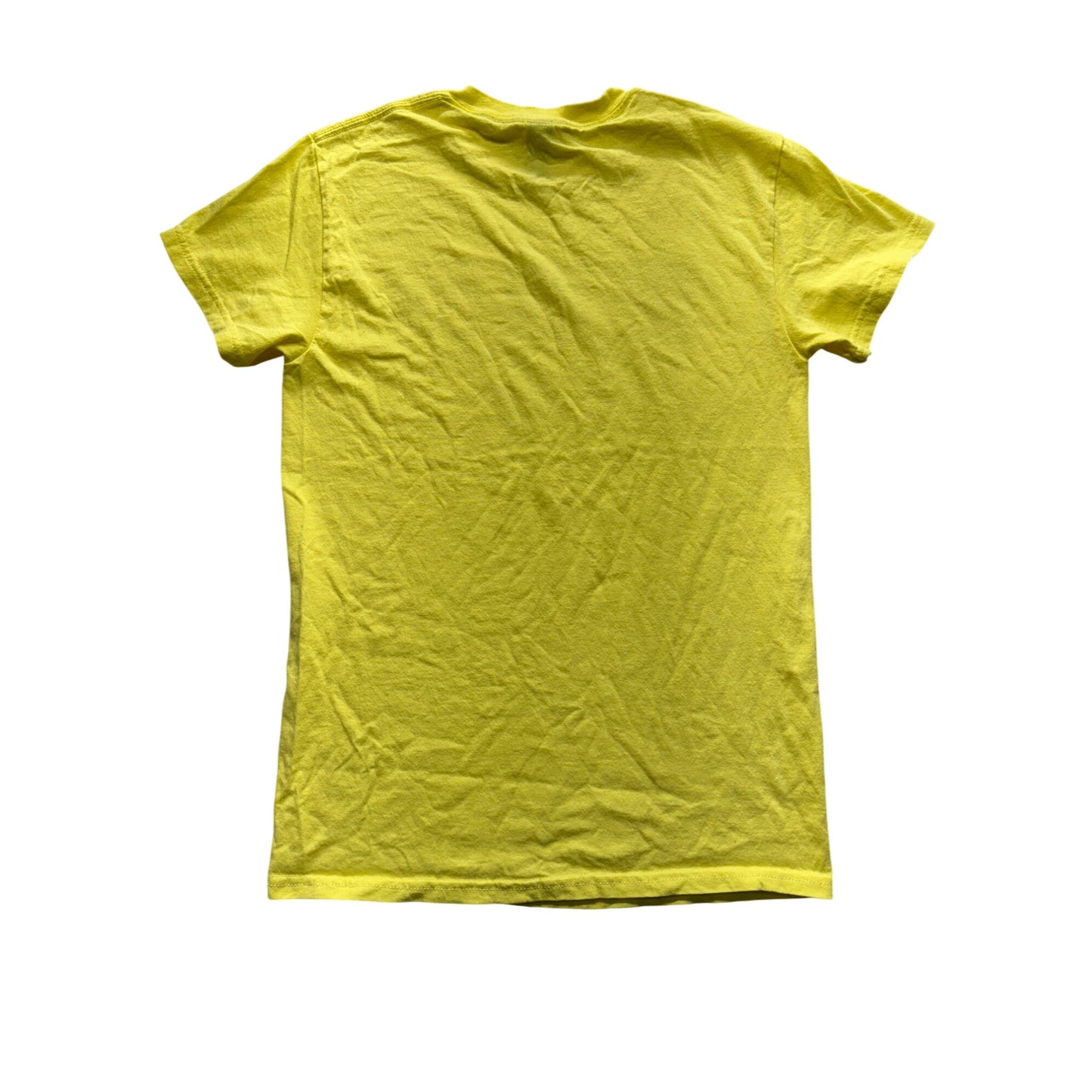 New Mexico Sun Graphic Yellow T-Shirt S Gildan Heavy Cotton 280B