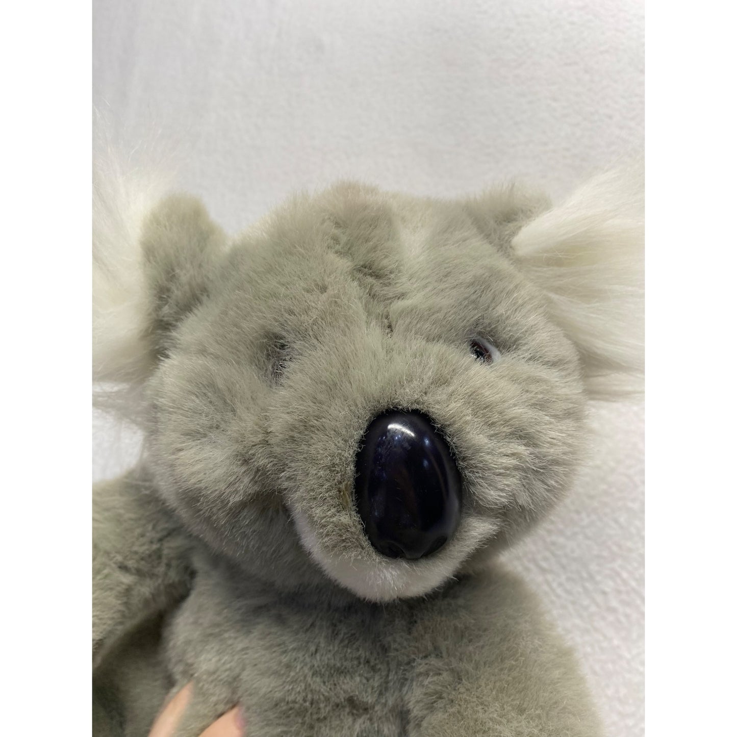 Gund Made Koala stuffy for Fashion Bug #5387