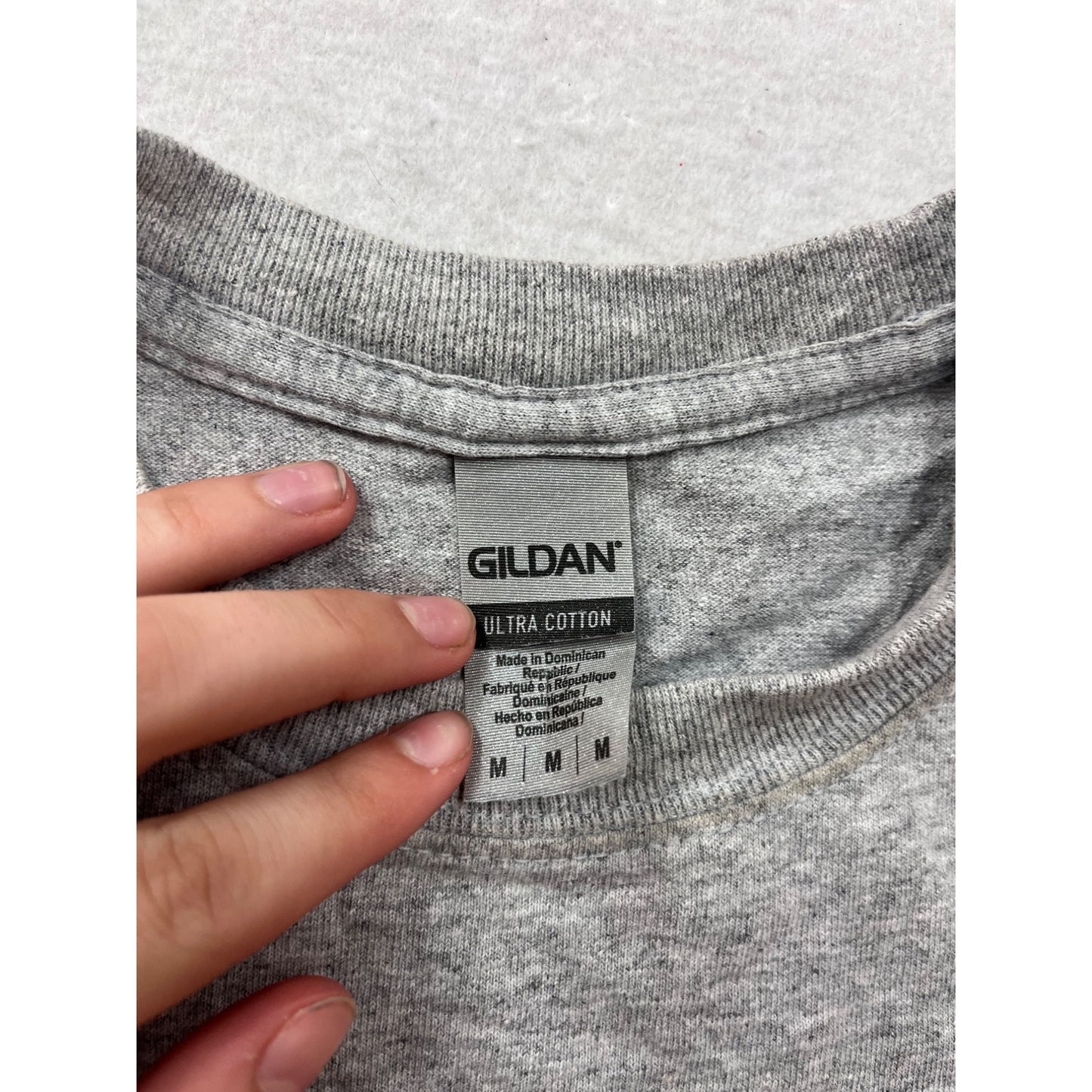Wisconsin Surfing Gray T-Shirt M By Gildan #8370