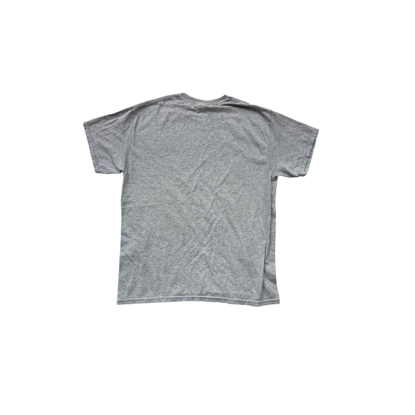 Minnesota Graphic Tee Gray Mens L #17A