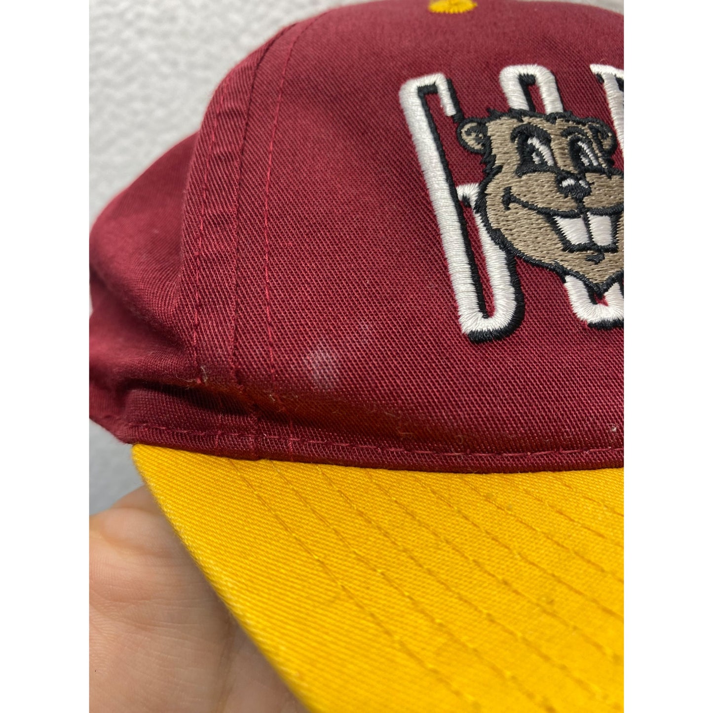 Vintage MN Gophers SnapBack Hat #5174