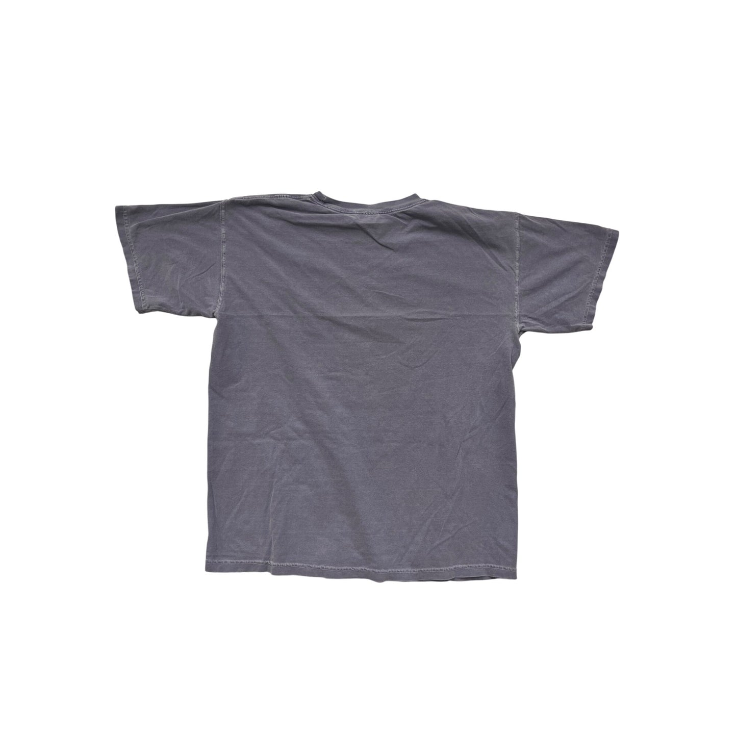 South Padre Island Graphic T-Shirt Large Comfort Colors #8814