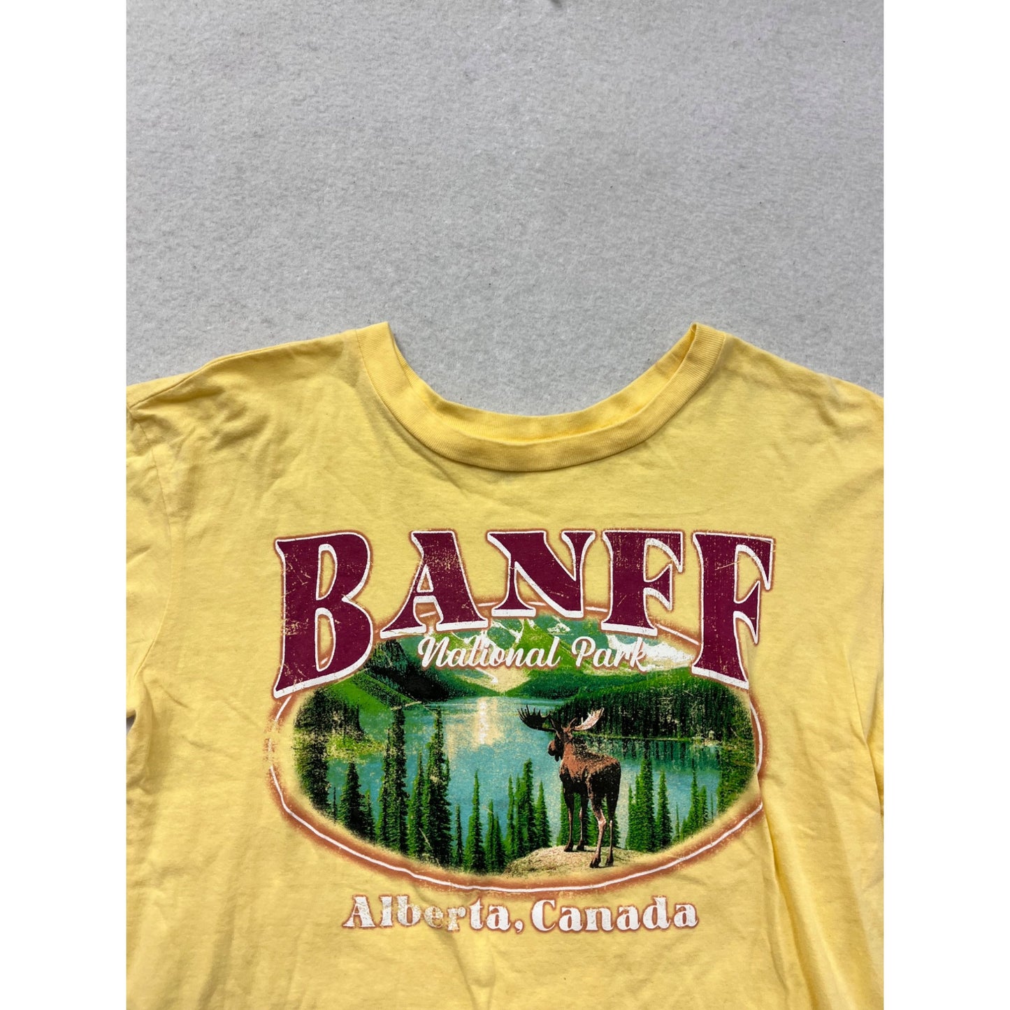 Vintage-Style Yellow Banff National Park Graphic T-Shirt Womens S #11A