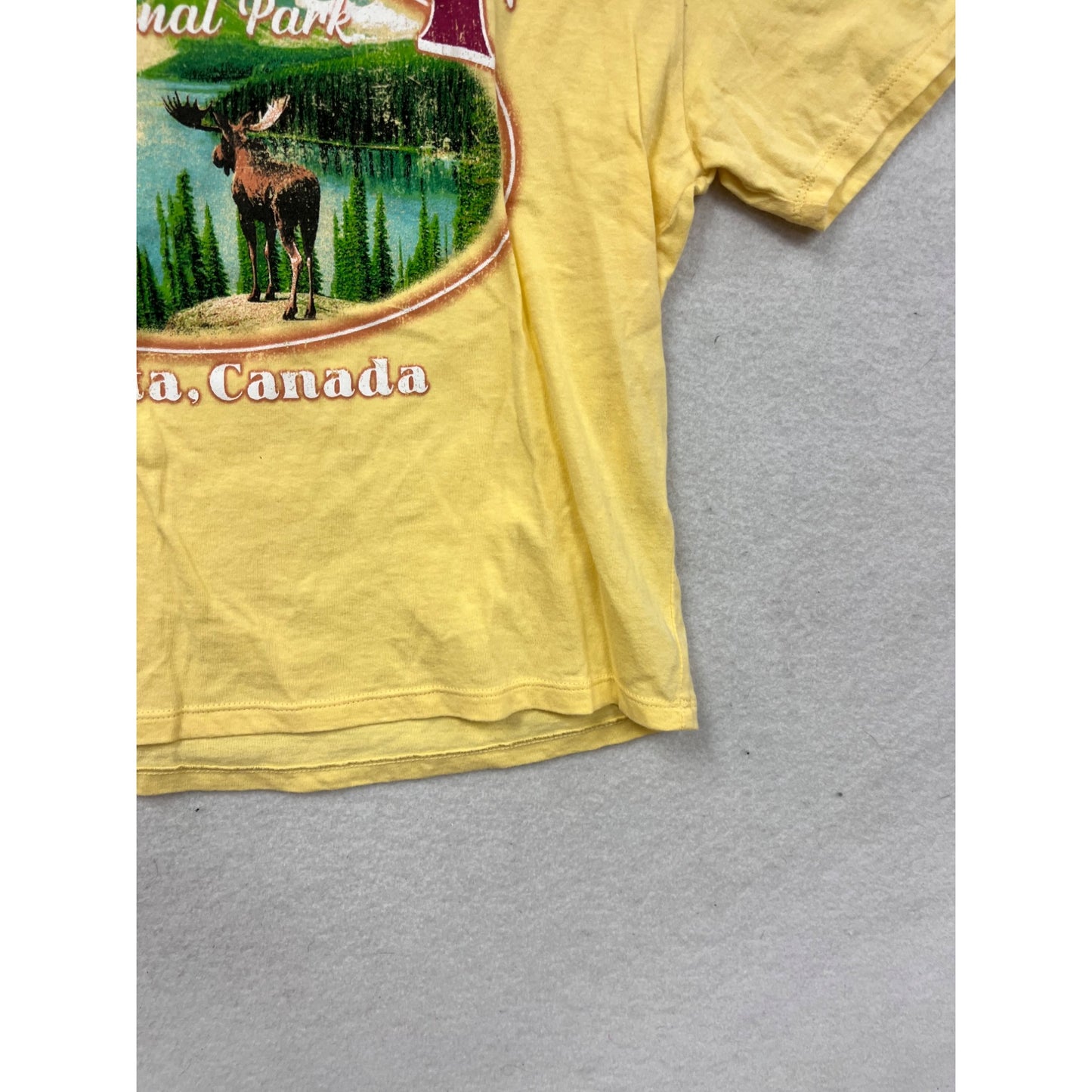 Vintage-Style Yellow Banff National Park Graphic T-Shirt Womens S #11A