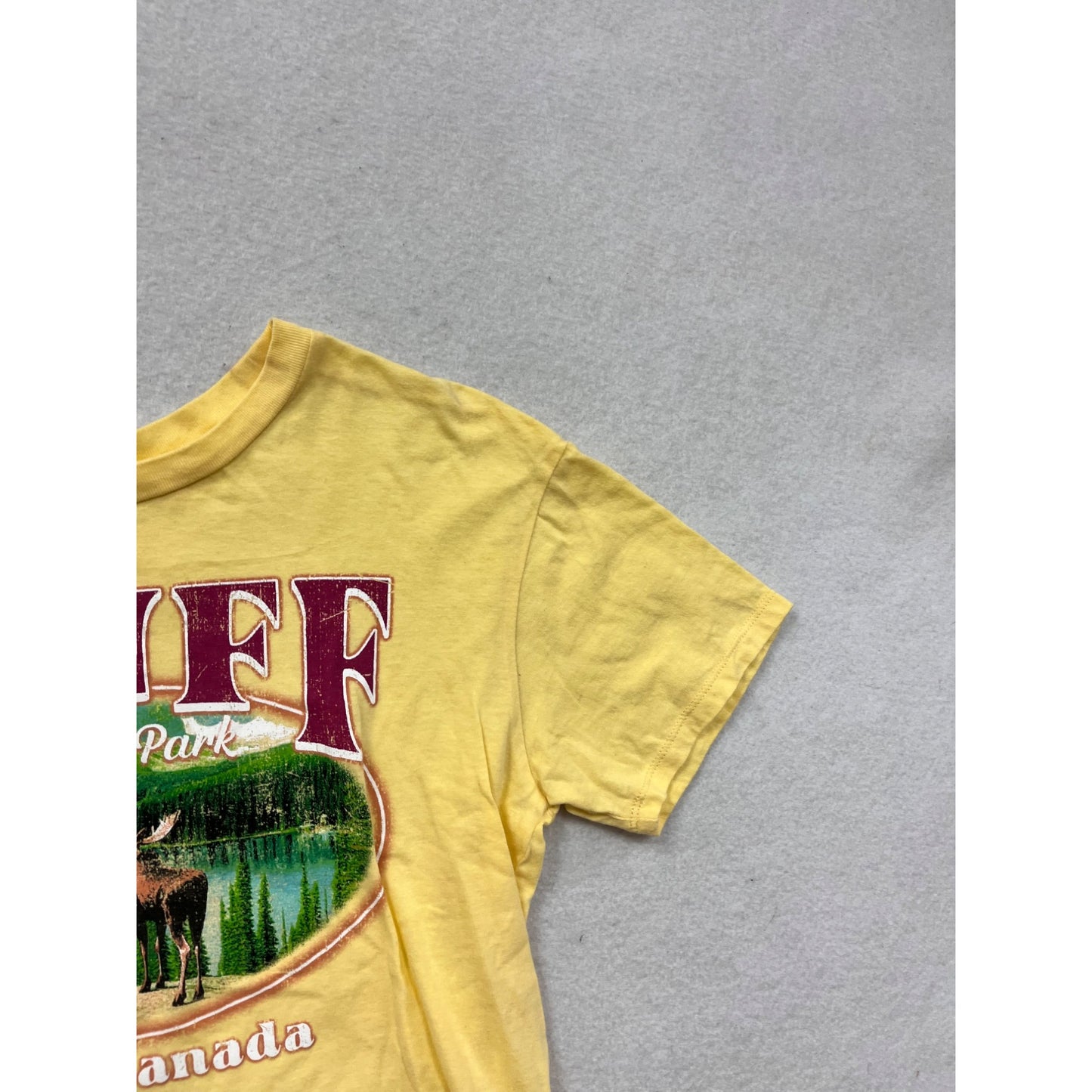 Vintage-Style Yellow Banff National Park Graphic T-Shirt Womens S #11A