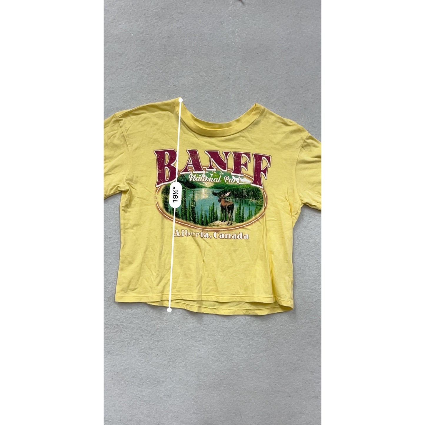 Vintage-Style Yellow Banff National Park Graphic T-Shirt Womens S #11A