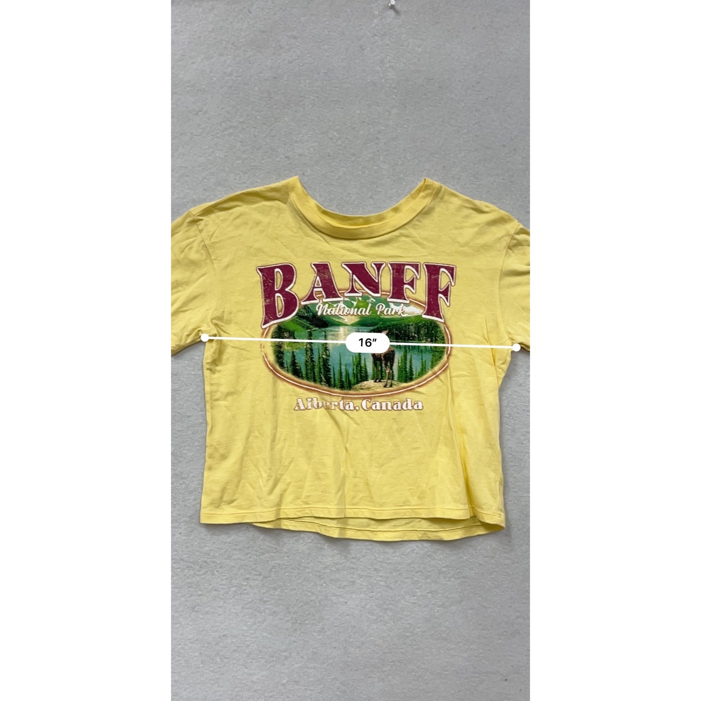 Vintage-Style Yellow Banff National Park Graphic T-Shirt Womens S #11A