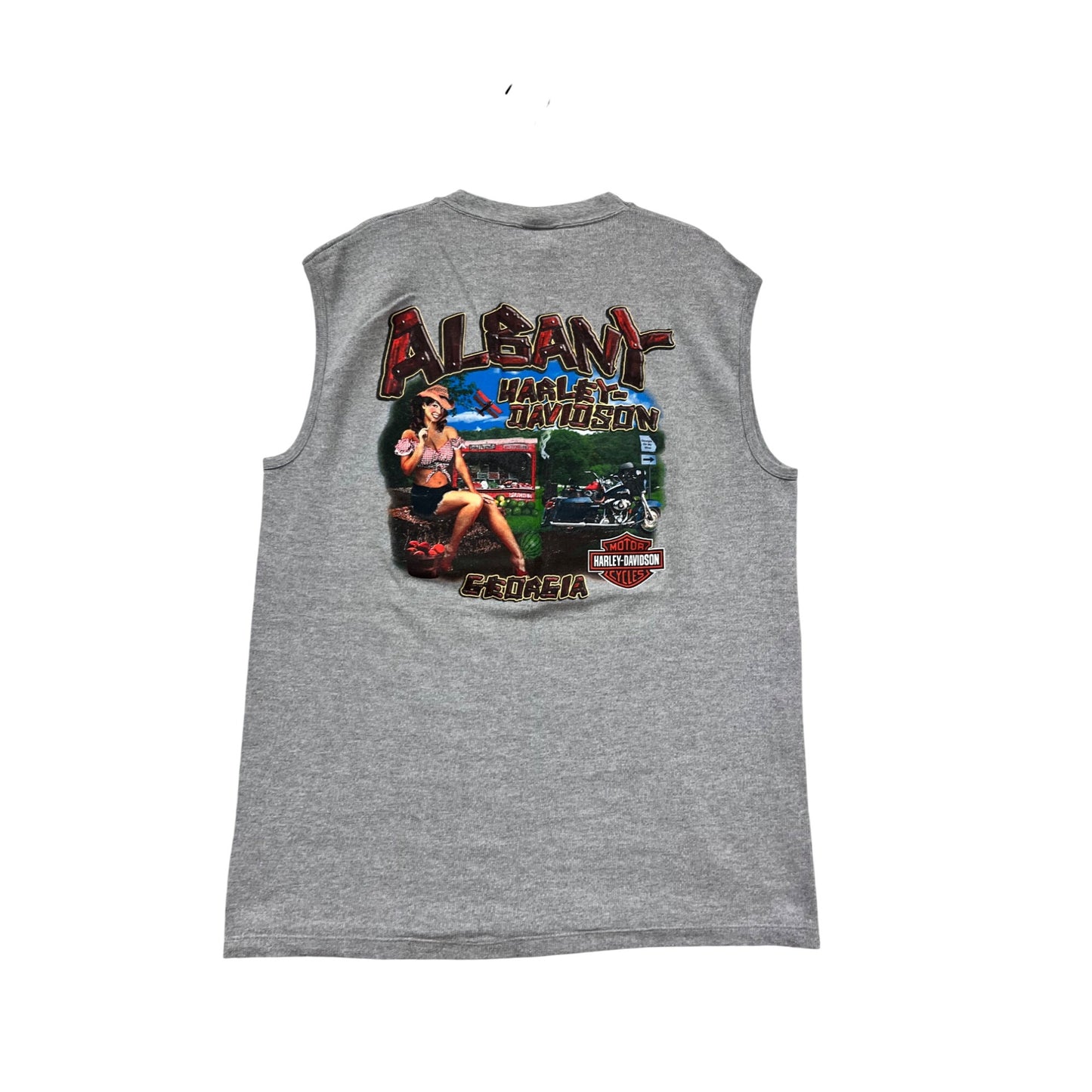 Harley-Davidson Albany Georgia X-Large Sleeveless Gray T-Shirt #616A