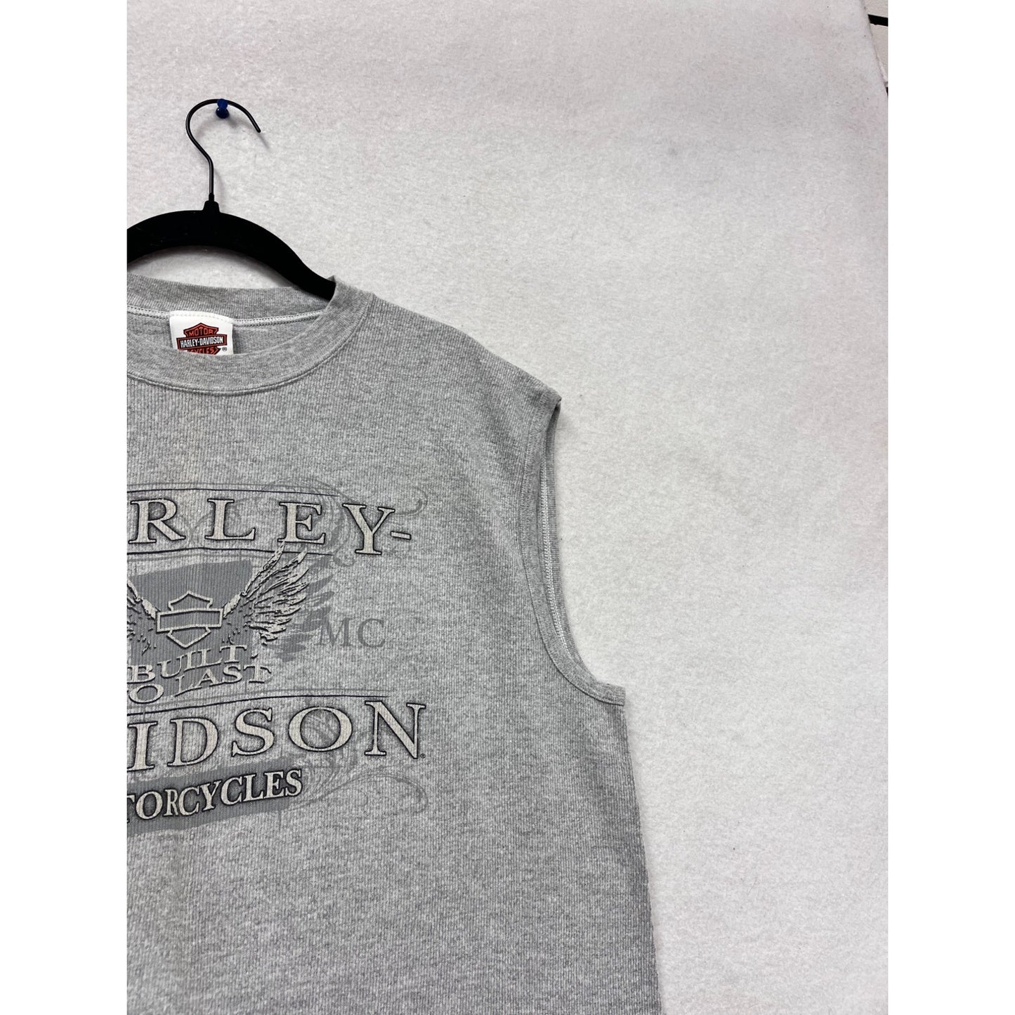 Harley-Davidson Albany Georgia X-Large Sleeveless Gray T-Shirt #616A