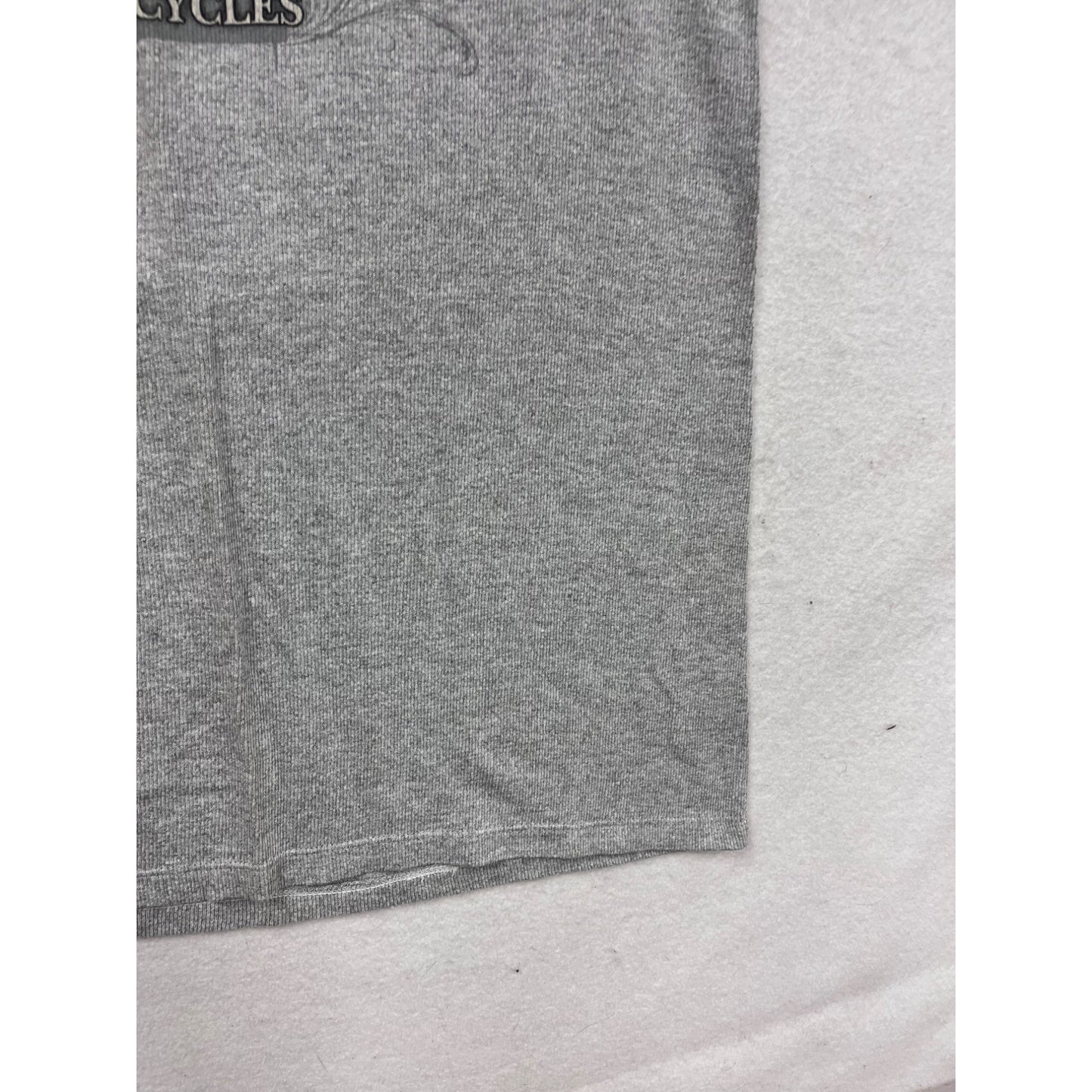 Harley-Davidson Albany Georgia X-Large Sleeveless Gray T-Shirt #616A