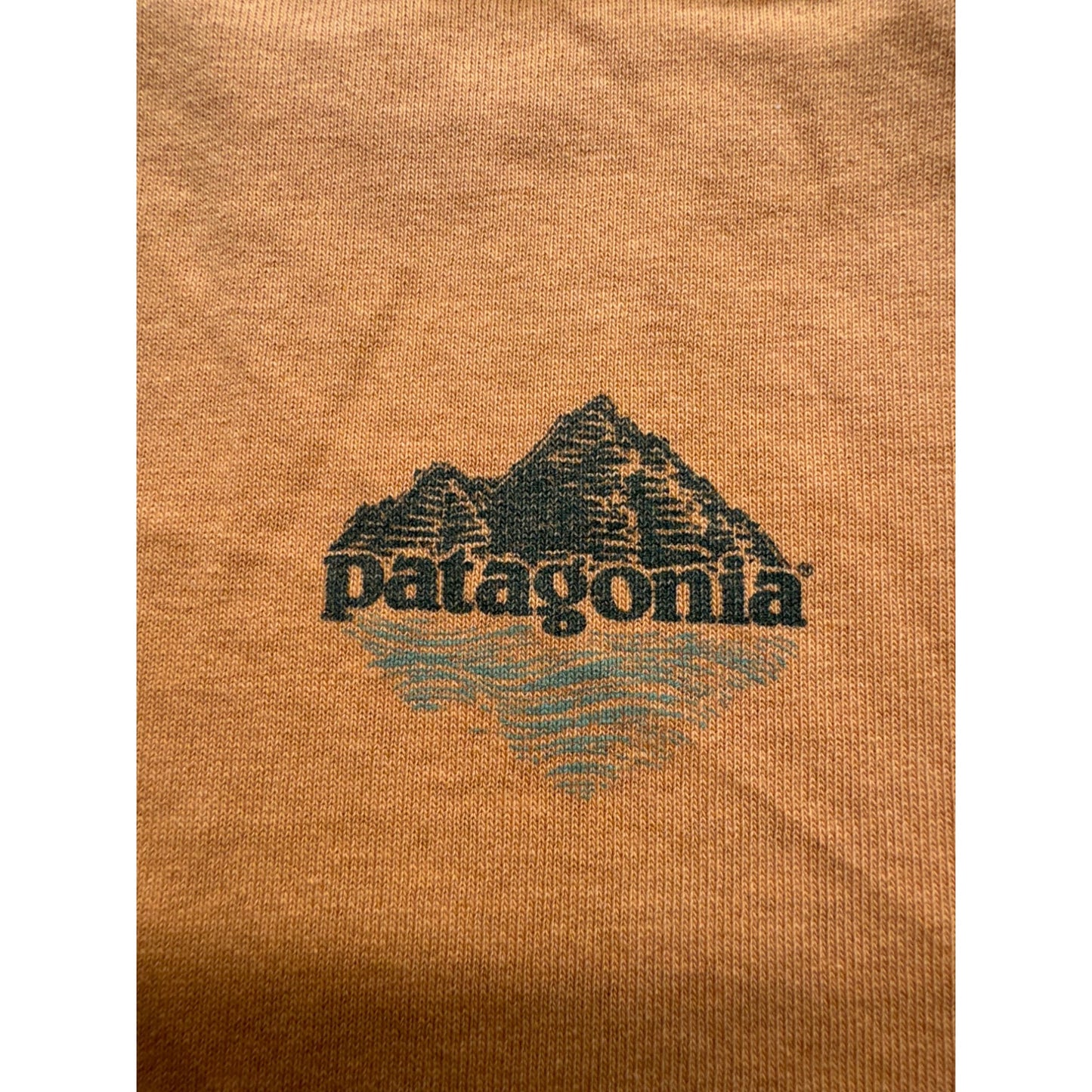 Patagonia Tank Top #5021