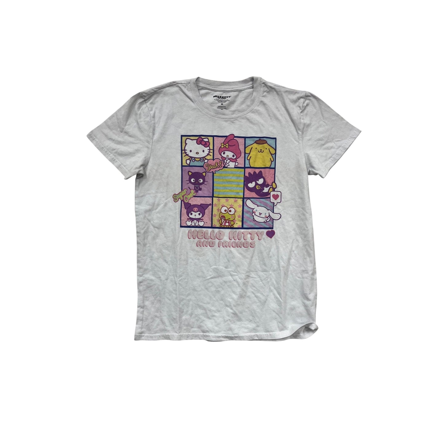 Medium Hello Kitty & Friends Graphic Tee #214A