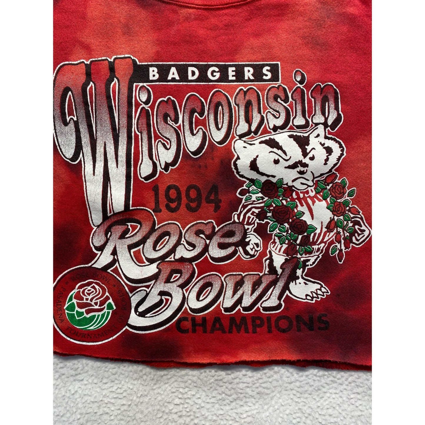 VNTG Wisconsin Badgers Rose Bowl crop #5203