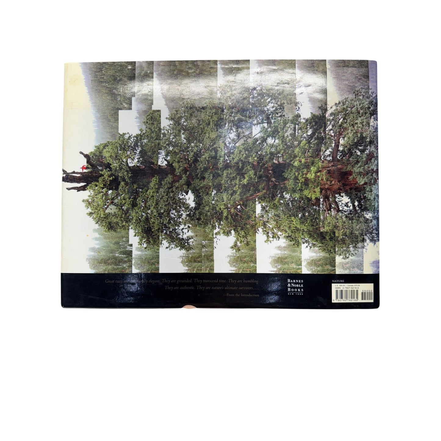 Tree: A New Vision Of The American Forest By James Balog #439B