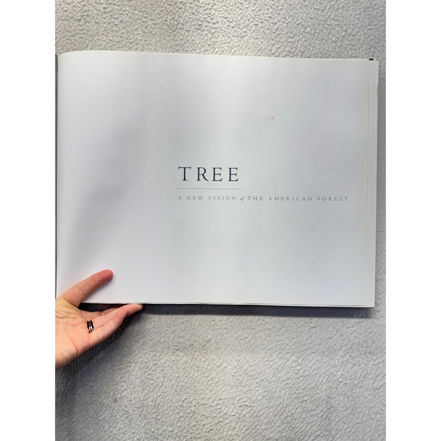 Tree: A New Vision Of The American Forest By James Balog #439B