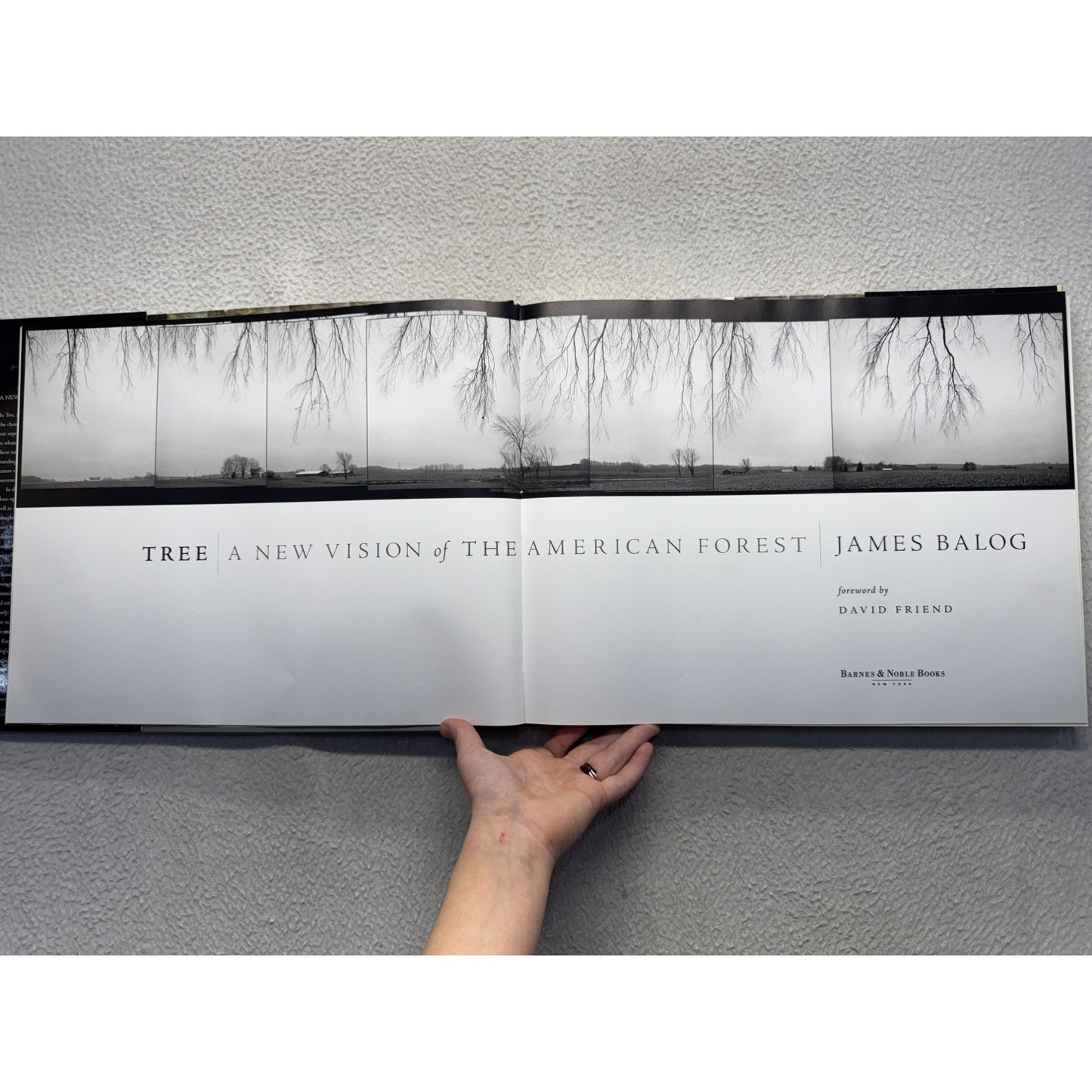 Tree: A New Vision Of The American Forest By James Balog #439B