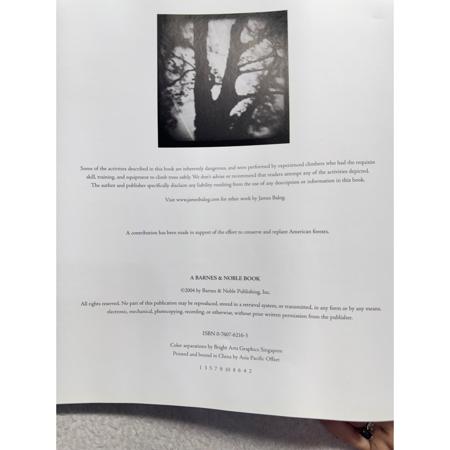 Tree: A New Vision Of The American Forest By James Balog #439B