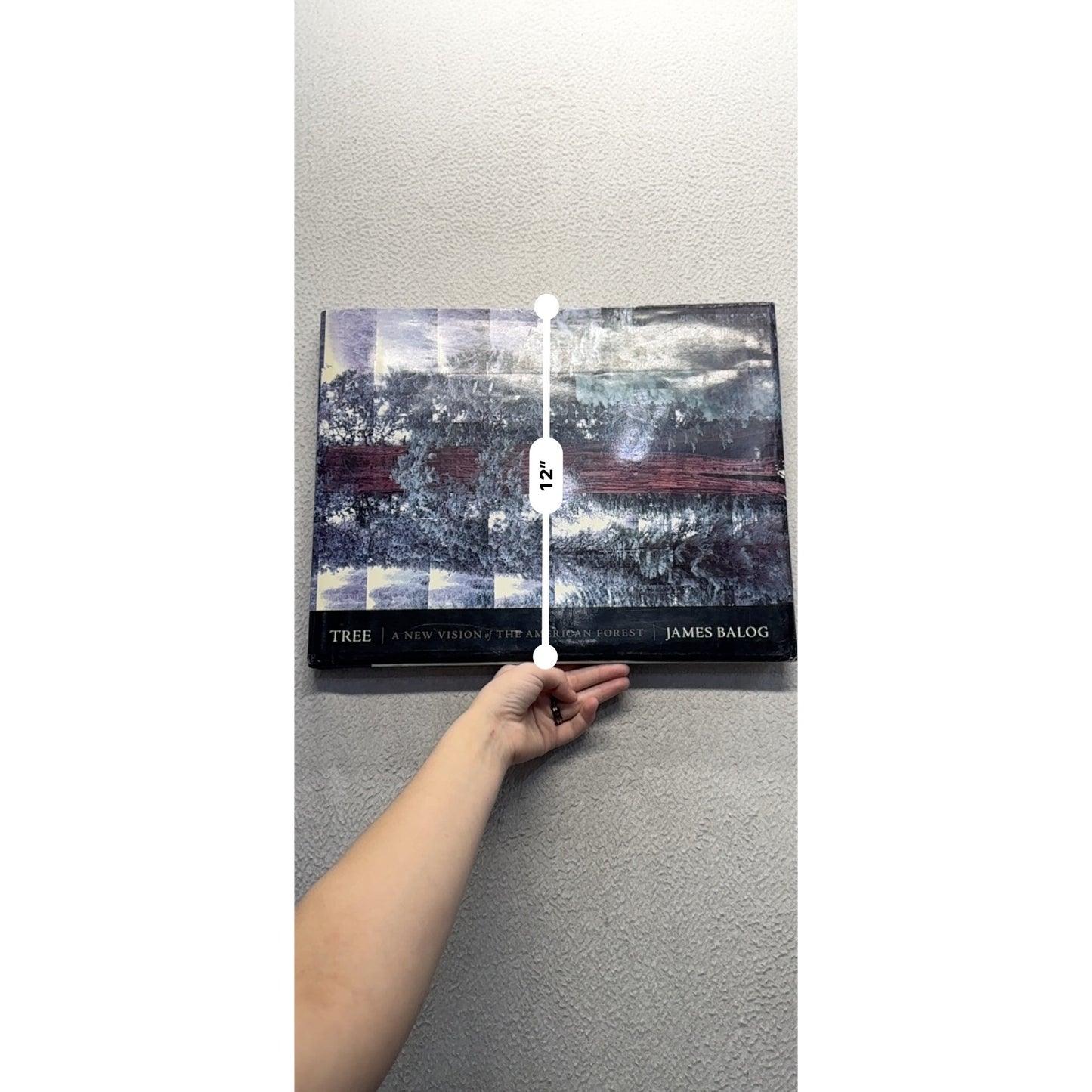 Tree: A New Vision Of The American Forest By James Balog #439B