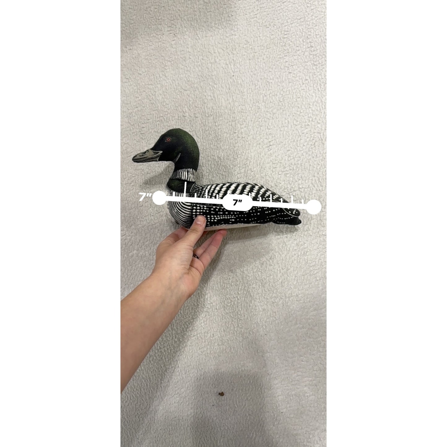 Loon Bird Plush Fabric Stuffed Animal Figurine Decorative Collectible #9953