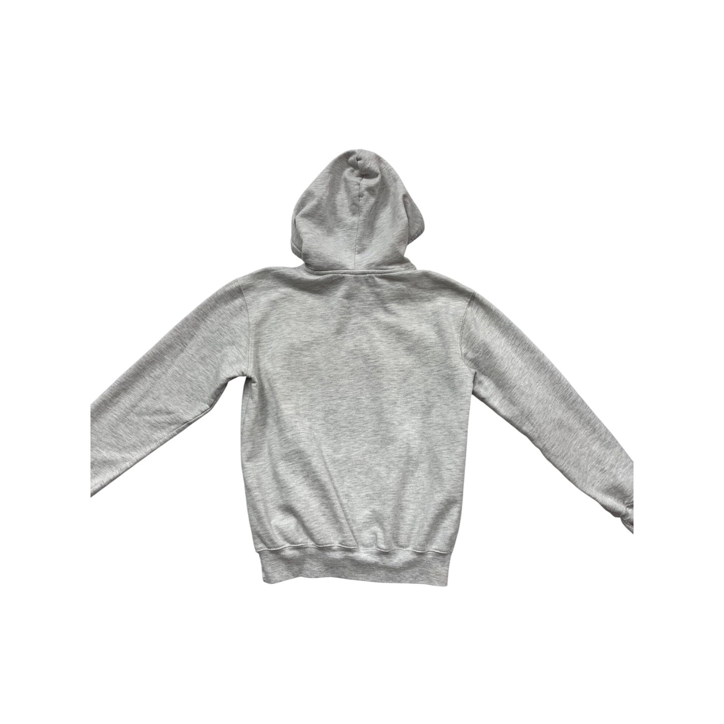 Peanuts Youth S Gray Hoodie With Snoopy & Charlie Brown #104C