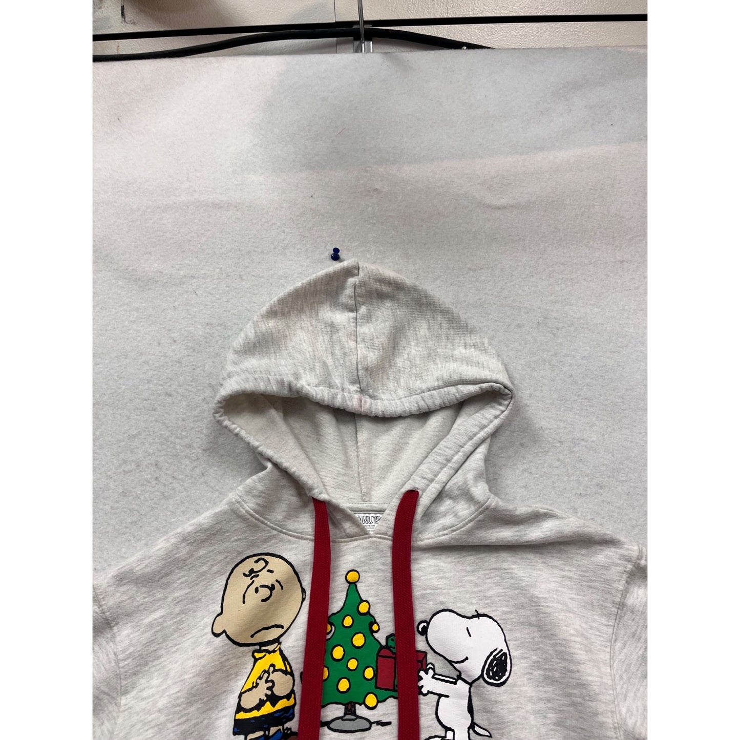 Peanuts Youth S Gray Hoodie With Snoopy & Charlie Brown #104C