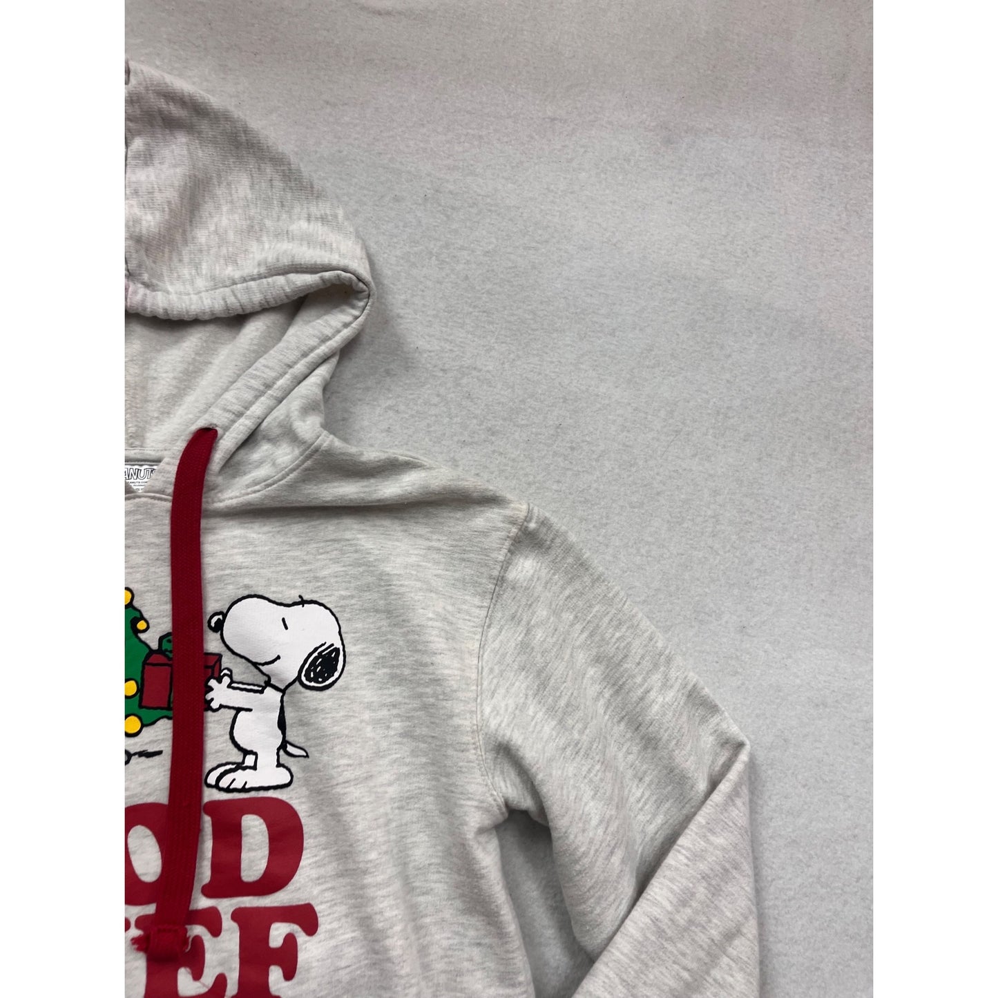 Peanuts Youth S Gray Hoodie With Snoopy & Charlie Brown #104C
