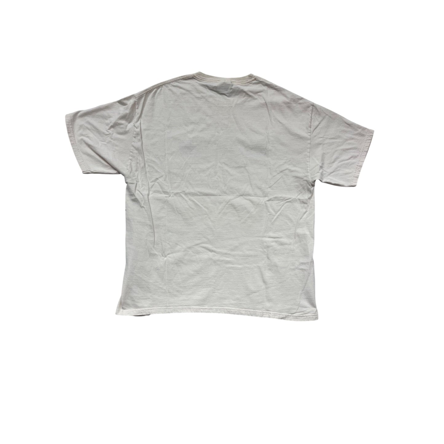 Vintage 2004 Hanes Beefy-T Black Alumni Reunion T-Shirt XL #555A