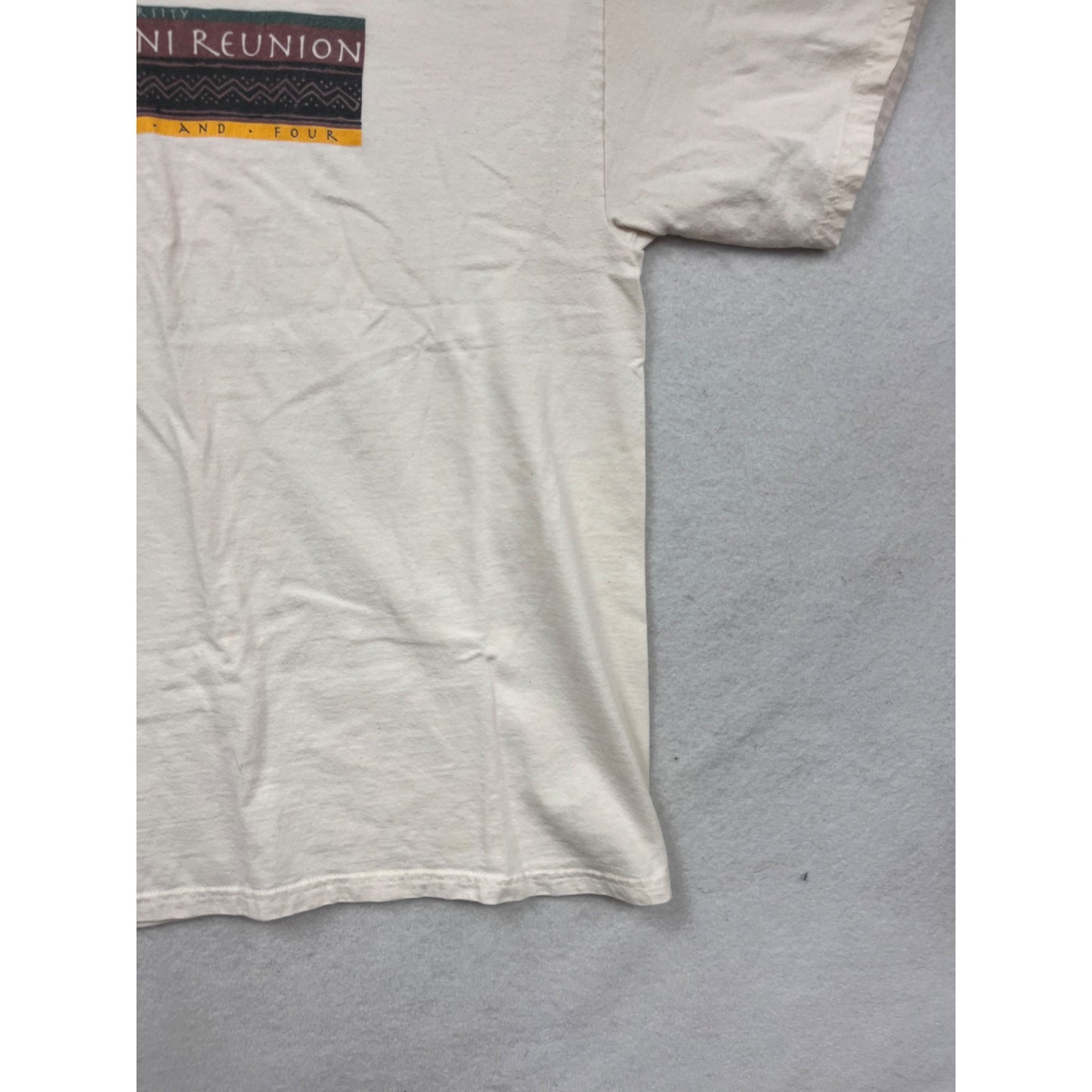 Vintage 2004 Hanes Beefy-T Black Alumni Reunion T-Shirt XL #555A