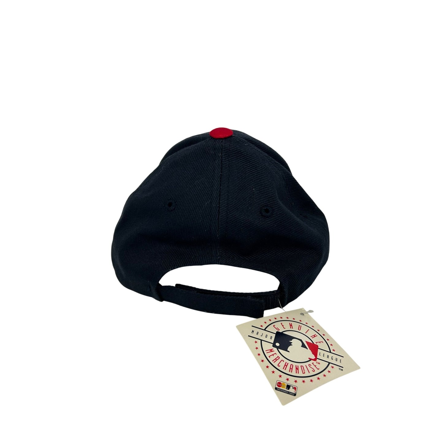 NWT Minnesota Twins Hat #2901